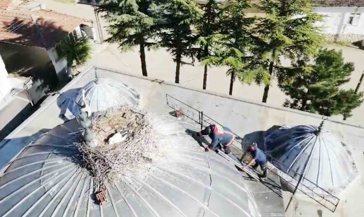 ÇORUM'UN MECİTÖZÜ İLÇESİNDE BİR CAMİNİN KUBBESİNDEKİ YUVASINDA AYAĞI İPE TAKILAN YAVRU LEYLEK...