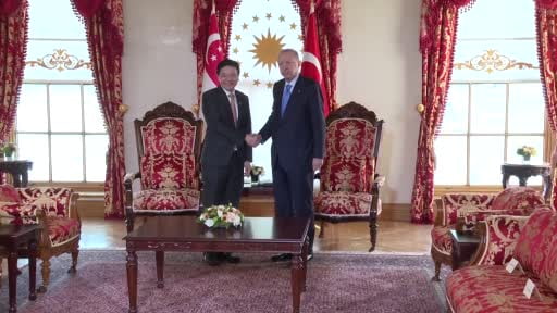 Cumhurbaşkanı Erdoğan, Singapur Başbakanı Lawrence Wong'u kabul etti