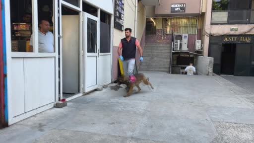 Denizli'de uyuşturucu operasyonu: Denizli Barosu Başkanı Ufuk Kök’ün de aralarında olduğu 12...