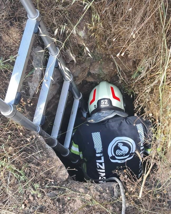 DENİZLİ'NİN TAVAS İLÇESİNDE OTLADIĞI SIRADA BOŞ ARAZİDE BULUNAN KUYUYA DÜŞEN KÜÇÜKBAŞ HAYVANLAR...