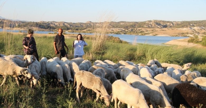 DENİZLİ’DE GÖKPINAR BARAJ GÖLÜ KIYISINDA BABASI HAMZA TOKTAŞ’LA BİRLİKTE ÇOBANLIK YAPARKEN...