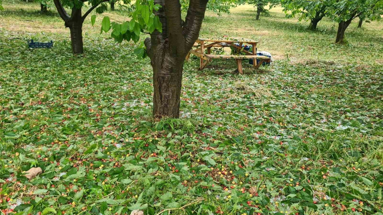 DENİZLİ İL GENELİNDE GÜN BOYU ETKİLİ OLAN SAĞANAK YAĞIŞ, BAZI İLÇELERDE YERİNİ ŞİDDETLİ DOLU...