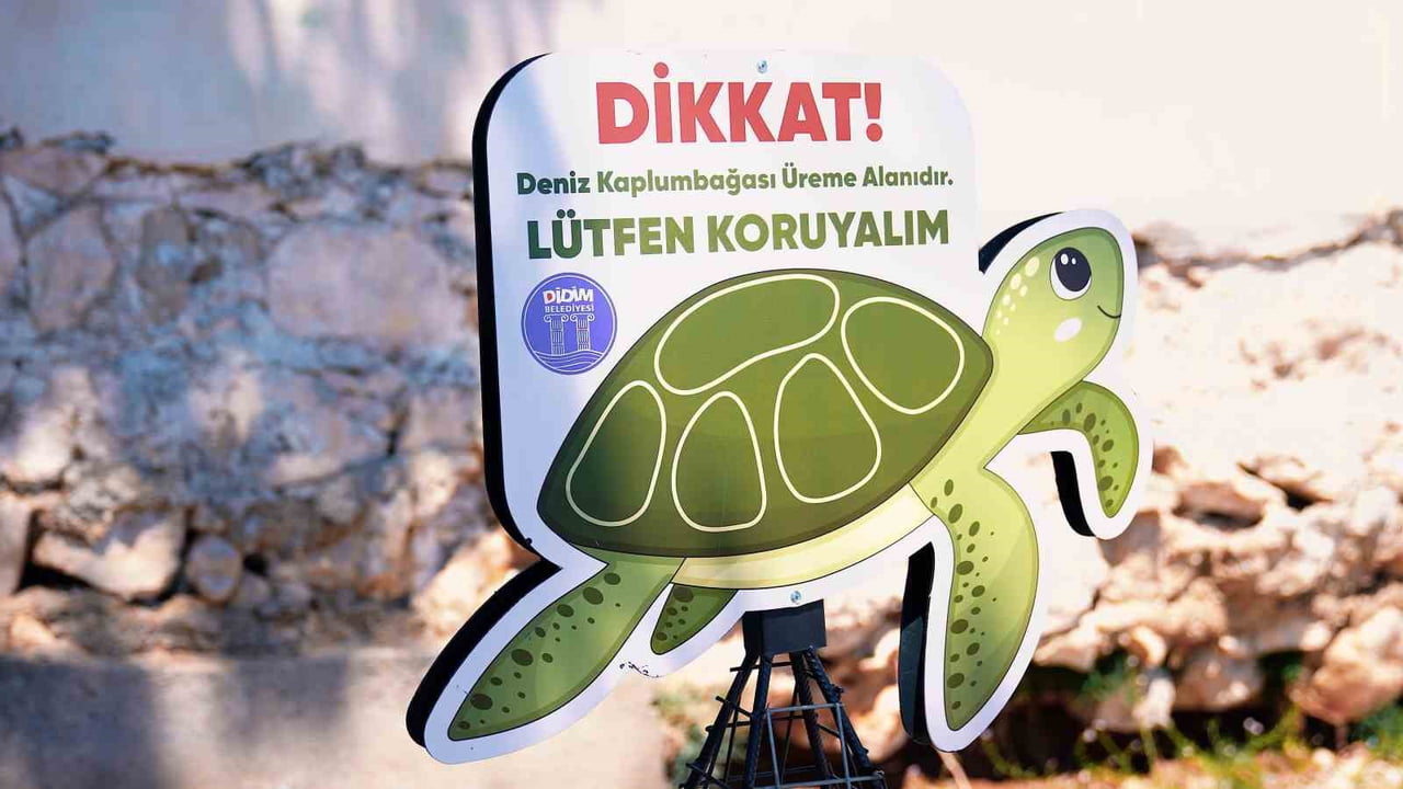 DİDİM BELEDİYESİ DENİZ KAPLUMBAĞALARININ YUVALAMA ALANLARINI KORUMA ALTINA ALDI