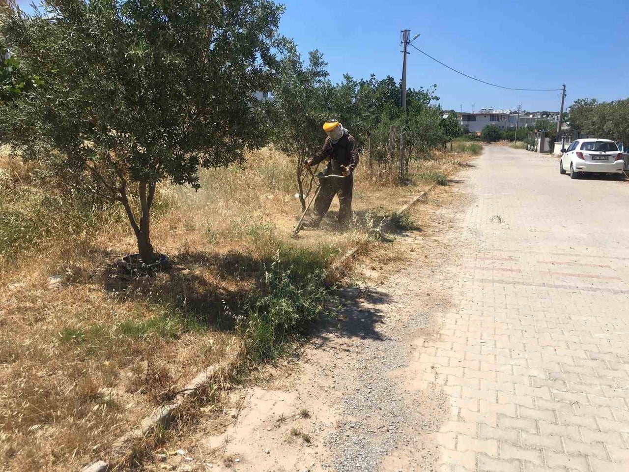 DİDİM BELEDİYESİ, KENT GENELİNDE ÇİM BİÇME, OT TEMİZLİĞİ VE AĞAÇ BUDAMA ÇALIŞMALARINA DEVAM...