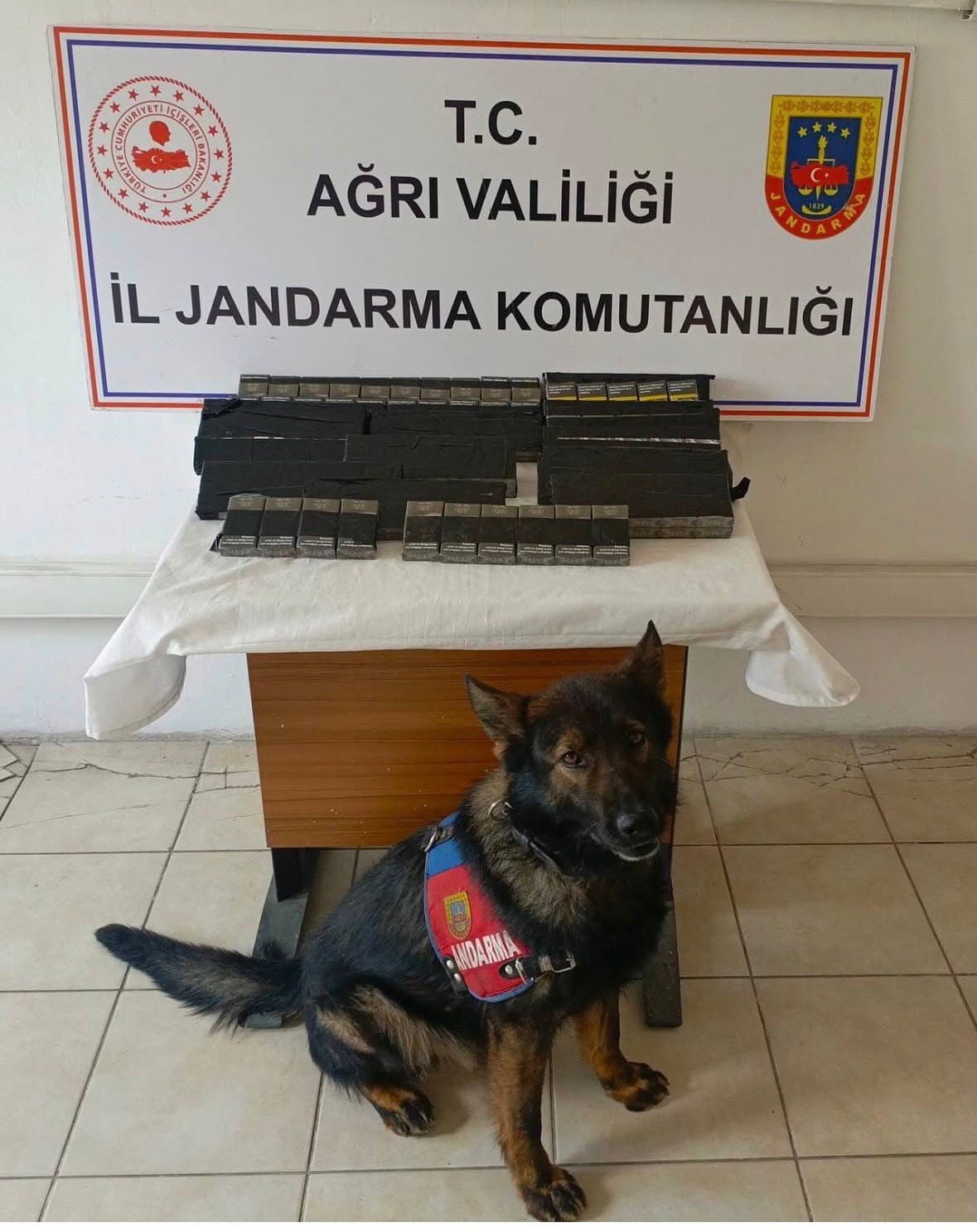 DİYADİN'DE 180 PAKET KAÇAK SİGARA YAKALANDI
