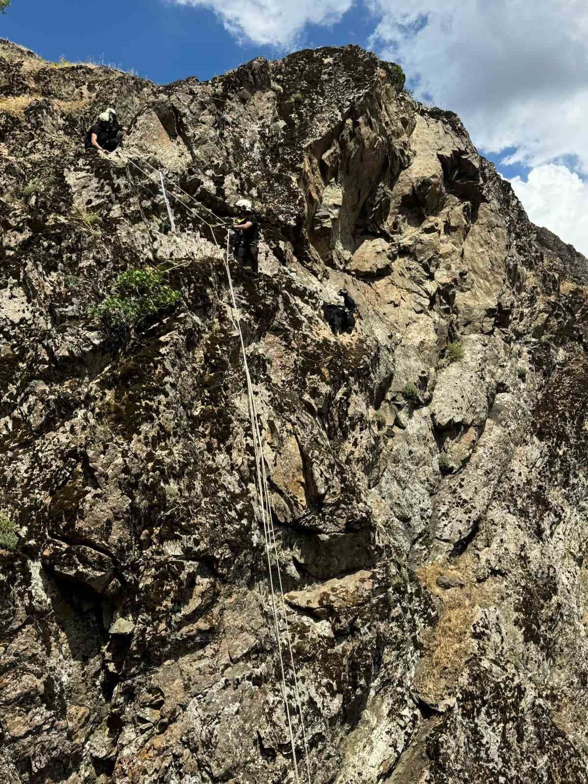 DİYARBAKIR'IN KULP İLÇESİNDE KAYALIK ALANDA MAHSUR KALAN 3 OĞLAK, İTFAİYE EKİBİNCE...