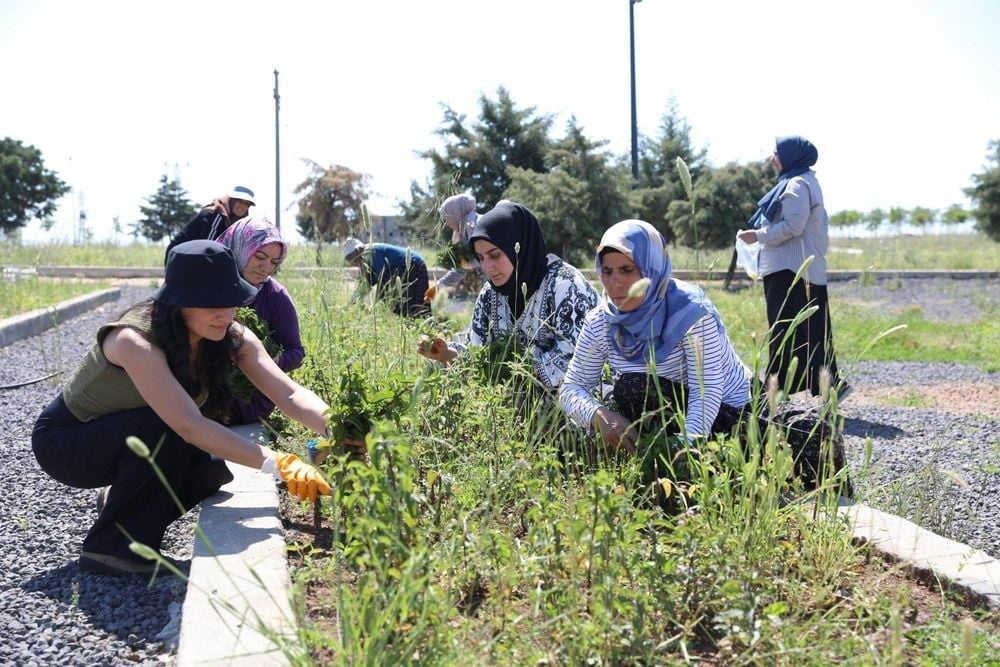 DİYARBAKIR BÜYÜKŞEHİR BELEDİYESİNİN KADIN YAŞAM MERKEZLERİNDE YÜRÜTTÜĞÜ TIBBİ VE AROMATİK BİTKİ...
