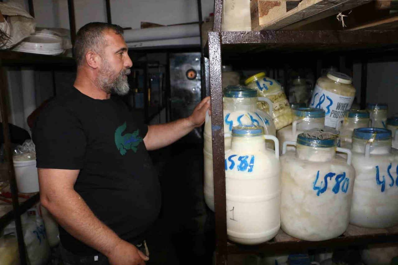 DİYARBAKIR’DA VATANDAŞLAR, YAZ AYLARINDA DAHA YAĞLI VE UYGUN FİYATLI OLAN PEYNİRLERİ SATIN ALARAK...