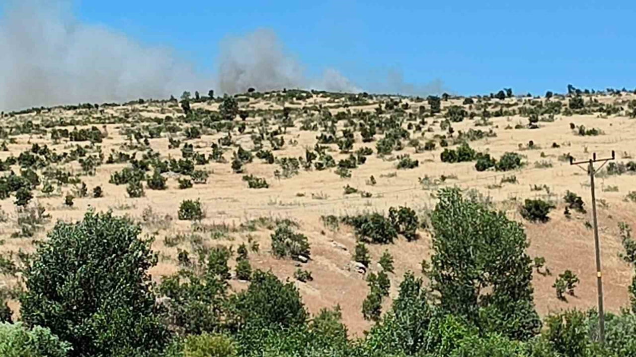 DİYARBAKIR’IN DİCLE İLÇESİNDE, AĞAÇLIK ALANDA ÇIKAN YANGIN PANİĞE NEDEN OLDU.