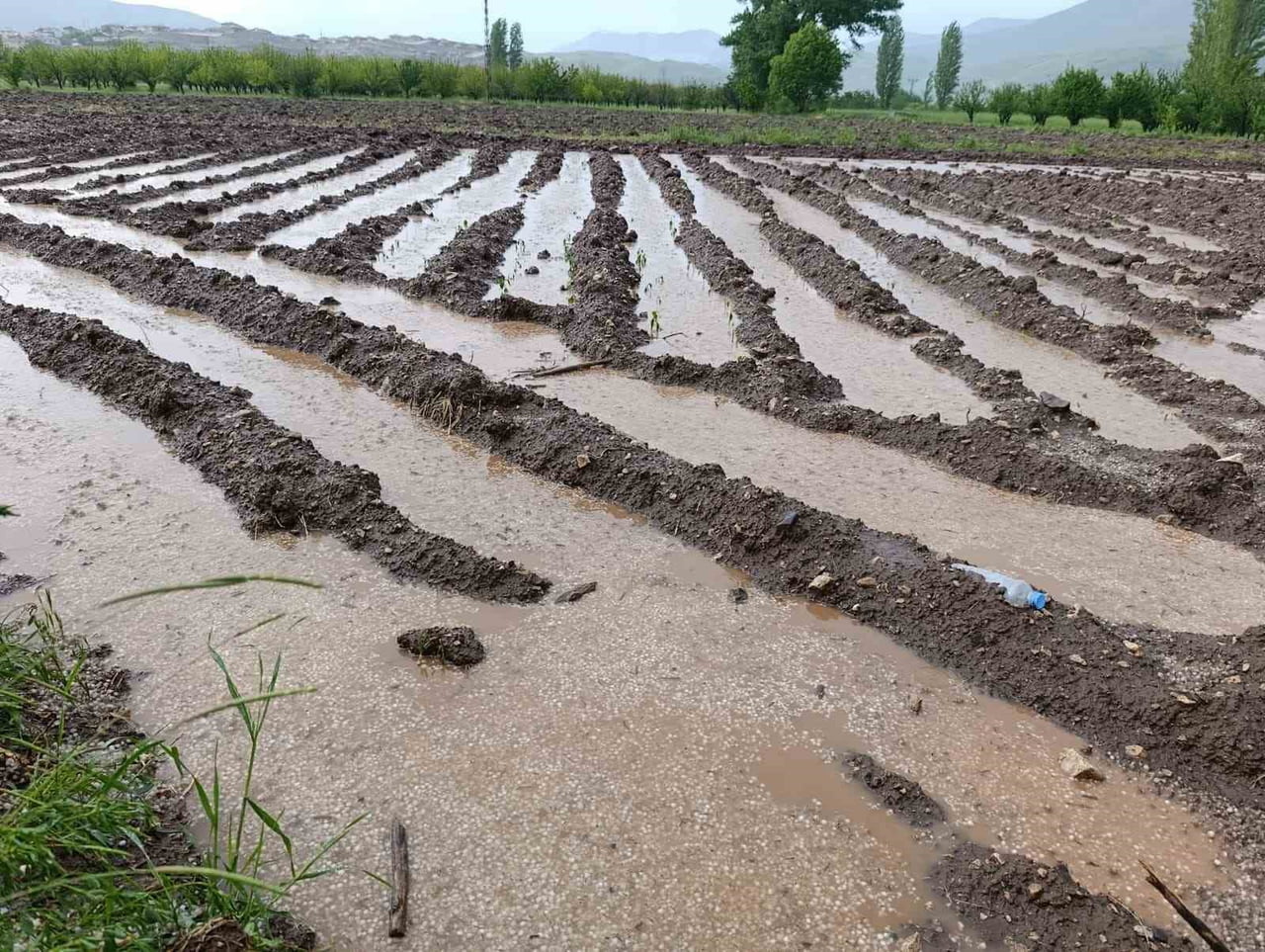 DOĞANŞEHİR İLÇESİNDE TARIM ARAZİLERİ SU ALTINDA KALDI.