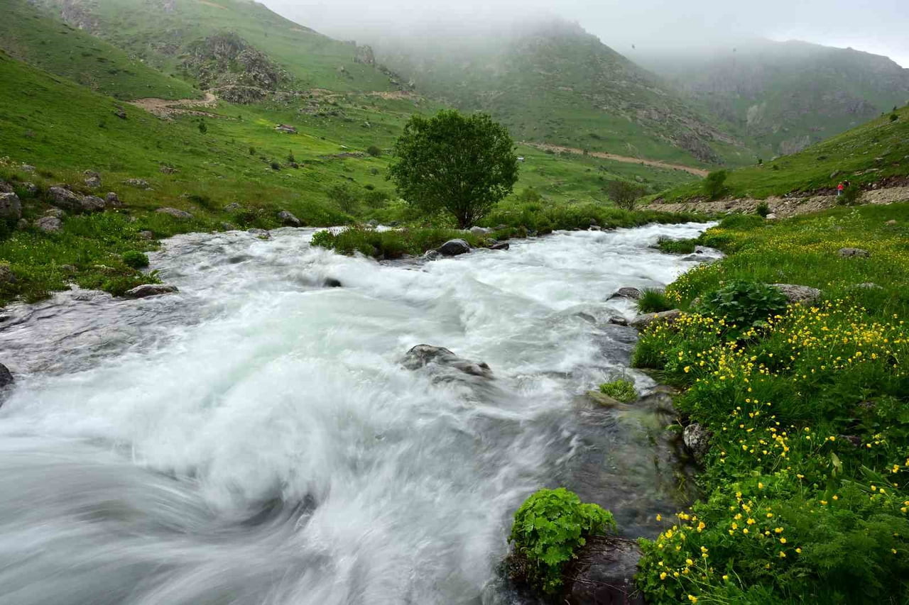DULAĞA YAYLASI, BAHAR MEVSİMİNİN GELİŞİYLE BİRLİKTE ADETA BİR TABLOYA DÖNÜŞTÜ.