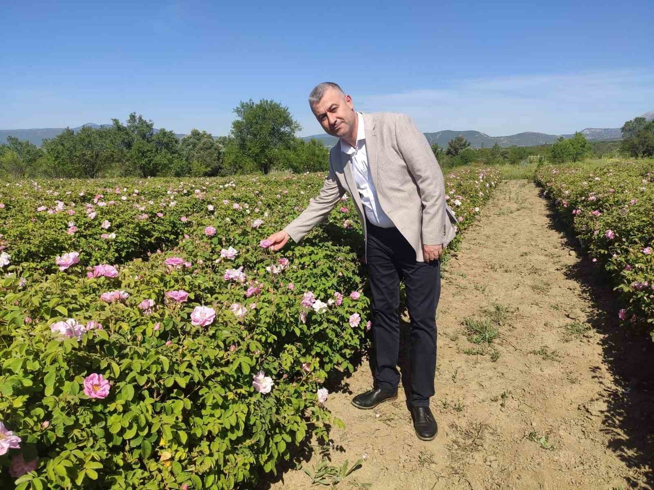 DÜNYA GENELİNDEKİ GÜL ÇİÇEĞİ VE GÜL YAĞI ÜRETİMİNİN YÜZDE 65'İNİ TEK BAŞINA KARŞILAYAN ISPARTA'DA...