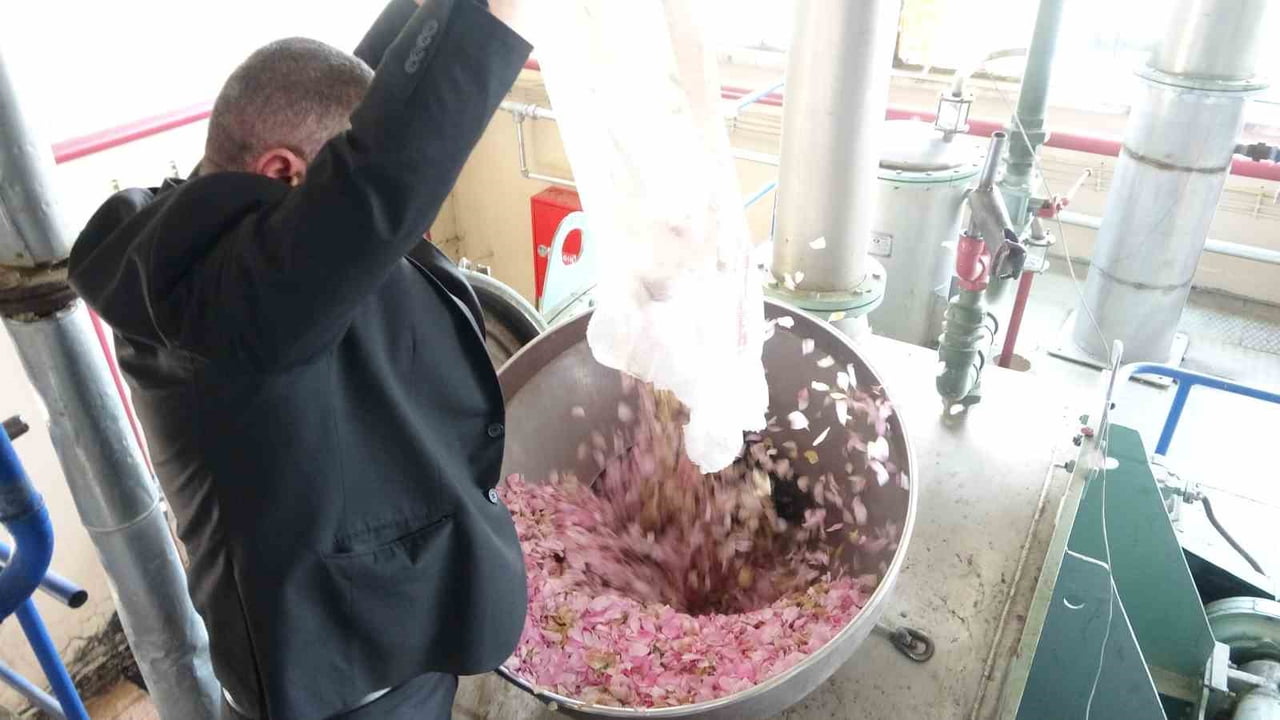 DÜNYANIN EN KALİTELİ YAĞLIK GÜL ÜRETİM MERKEZLERİNDEN BİRİ OLAN ISPARTA'DA HASAT SEZONU SÜRERKEN...