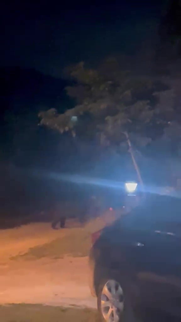 DÜZCE’DE KÖYE GECE SAATLERİNDE İNEN AYI, KÖYLÜLERE BÜYÜK HEYECAN VE KORKU YAŞATTI. AYIYI...