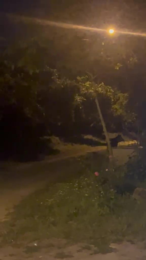 DÜZCE’DE KÖYE GECE SAATLERİNDE İNEN AYI, KÖYLÜLERE BÜYÜK HEYECAN VE KORKU YAŞATTI. AYIYI...