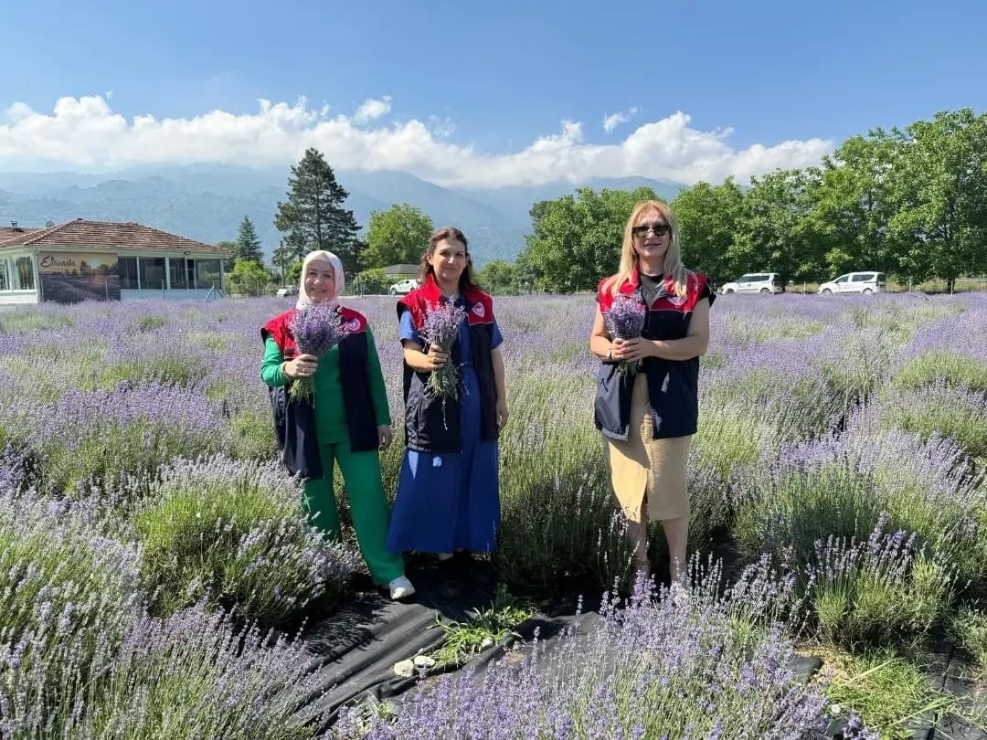 DÜZCE MERKEZE BAĞLI KONAKLI KÖYÜ'NDE, 2020 YILINDA 4 DEKAR ALANA 8 BİN ADET LAVANTA DİKEREK...