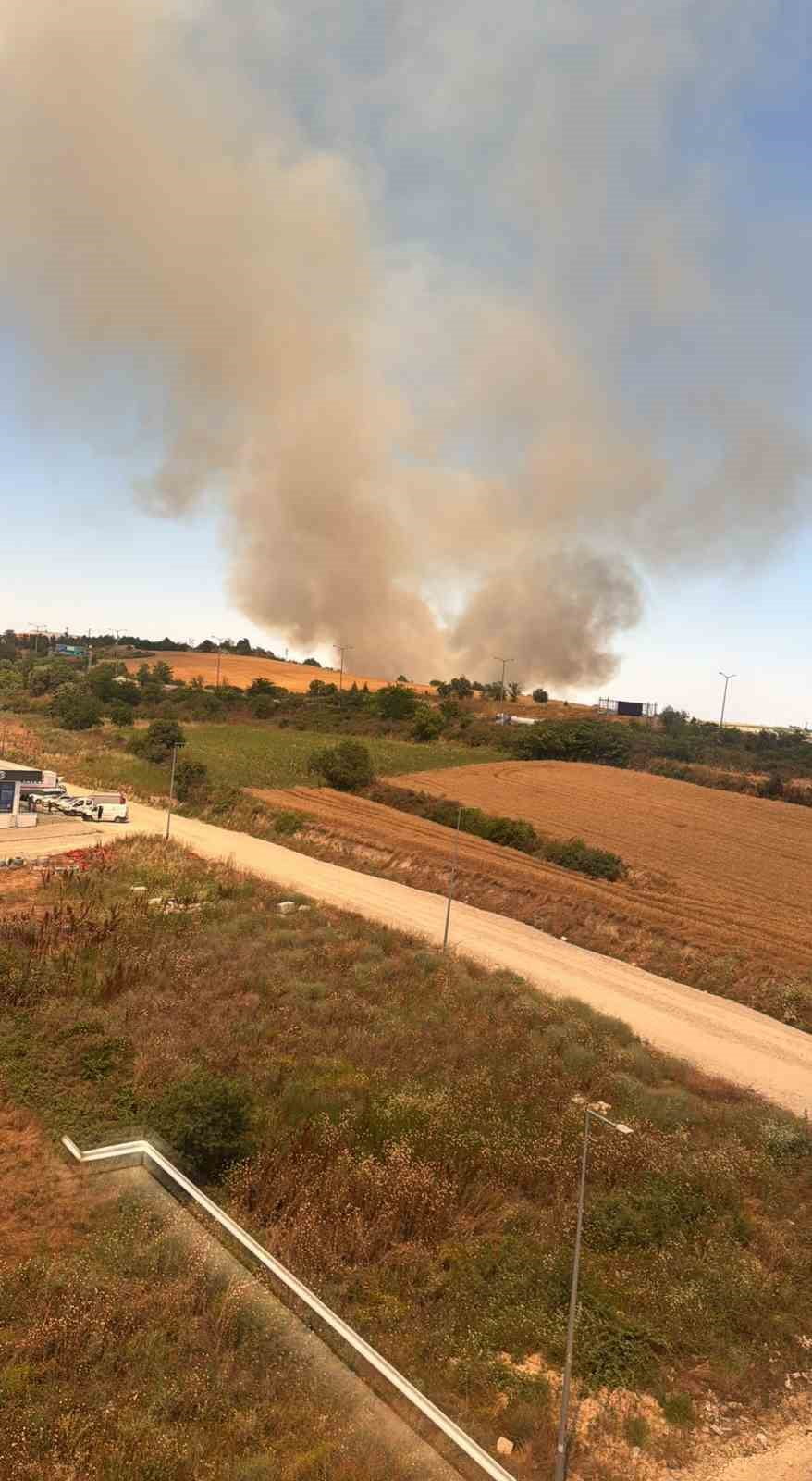 EDİRNE'DE YENİ ŞEHİR MEZARLIĞI YAKININDAKİ BUĞDAY TARLASINDA ÇIKAN YANGIN, BÜYÜMEDEN...