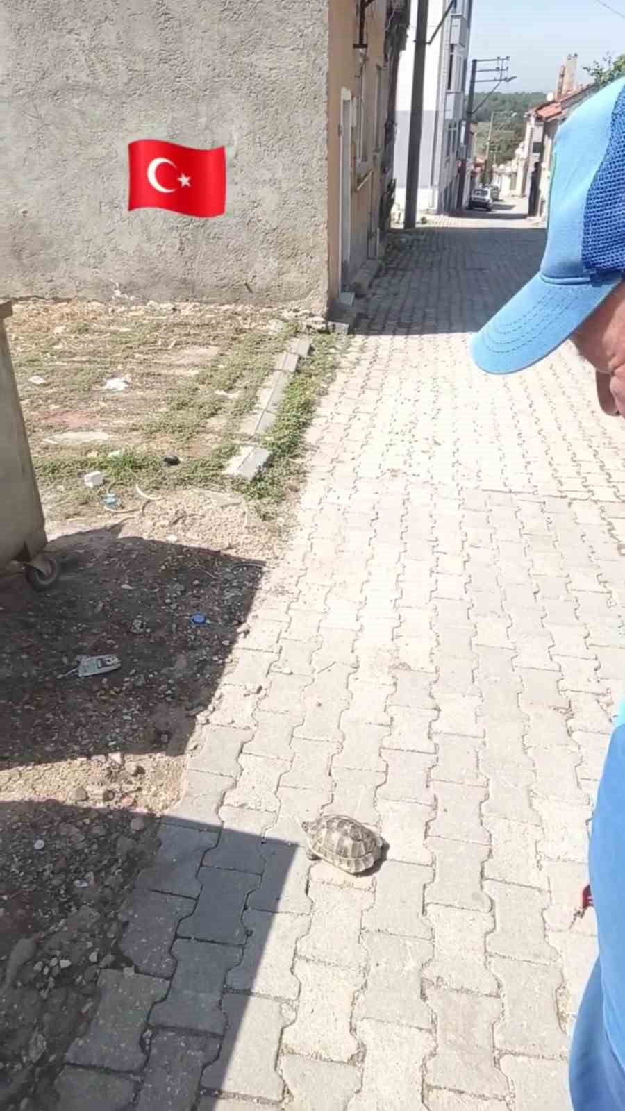 EDİRNE’DE ÇEVRE HAFTASI ETKİNLİKLERİ SÜRERKEN, DOĞAYA VERİLEN ÖNEMİN EN GÜZEL ÖRNEKLERİNDEN BİRİ...