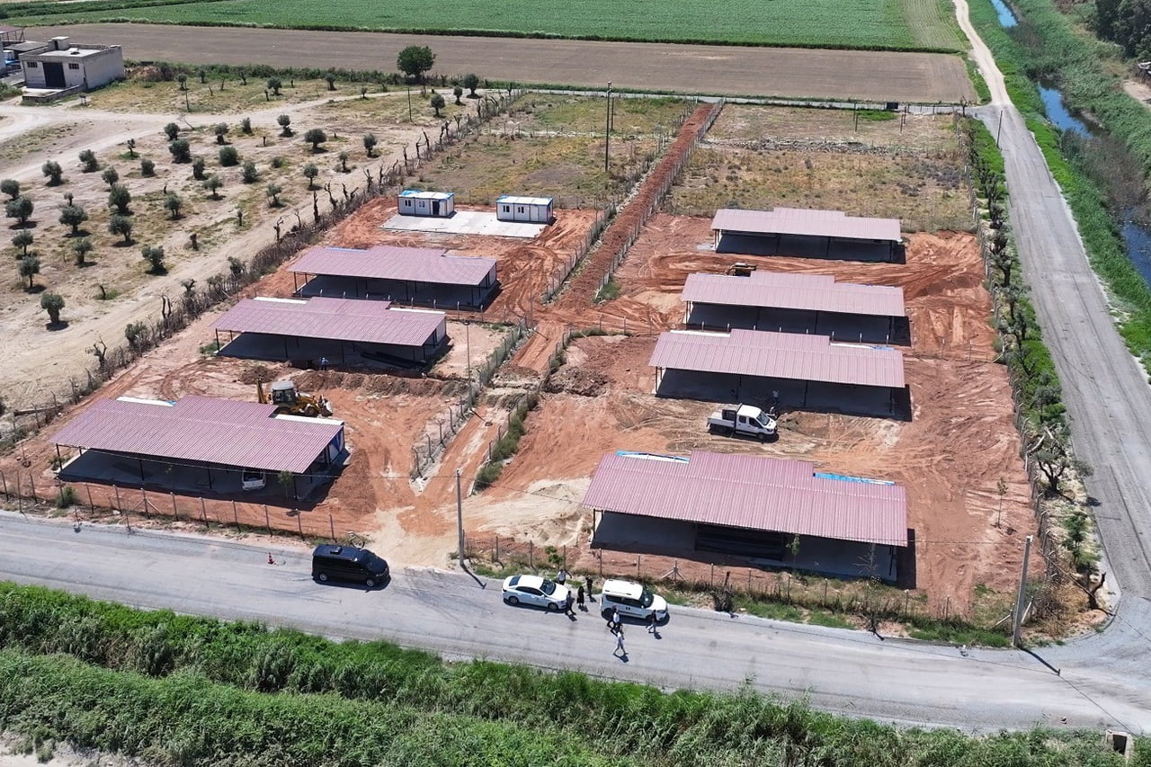 EFELER BELEDİYESİ'NDEN SOKAK HAYVANLARI İÇİN YENİ YAŞAM ALANI