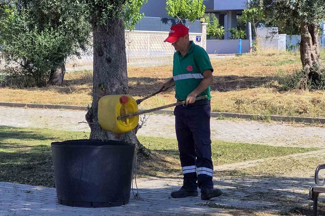 EFELER’DE YEŞİL ALANLARDA YAZ TEMİZLİĞİ
