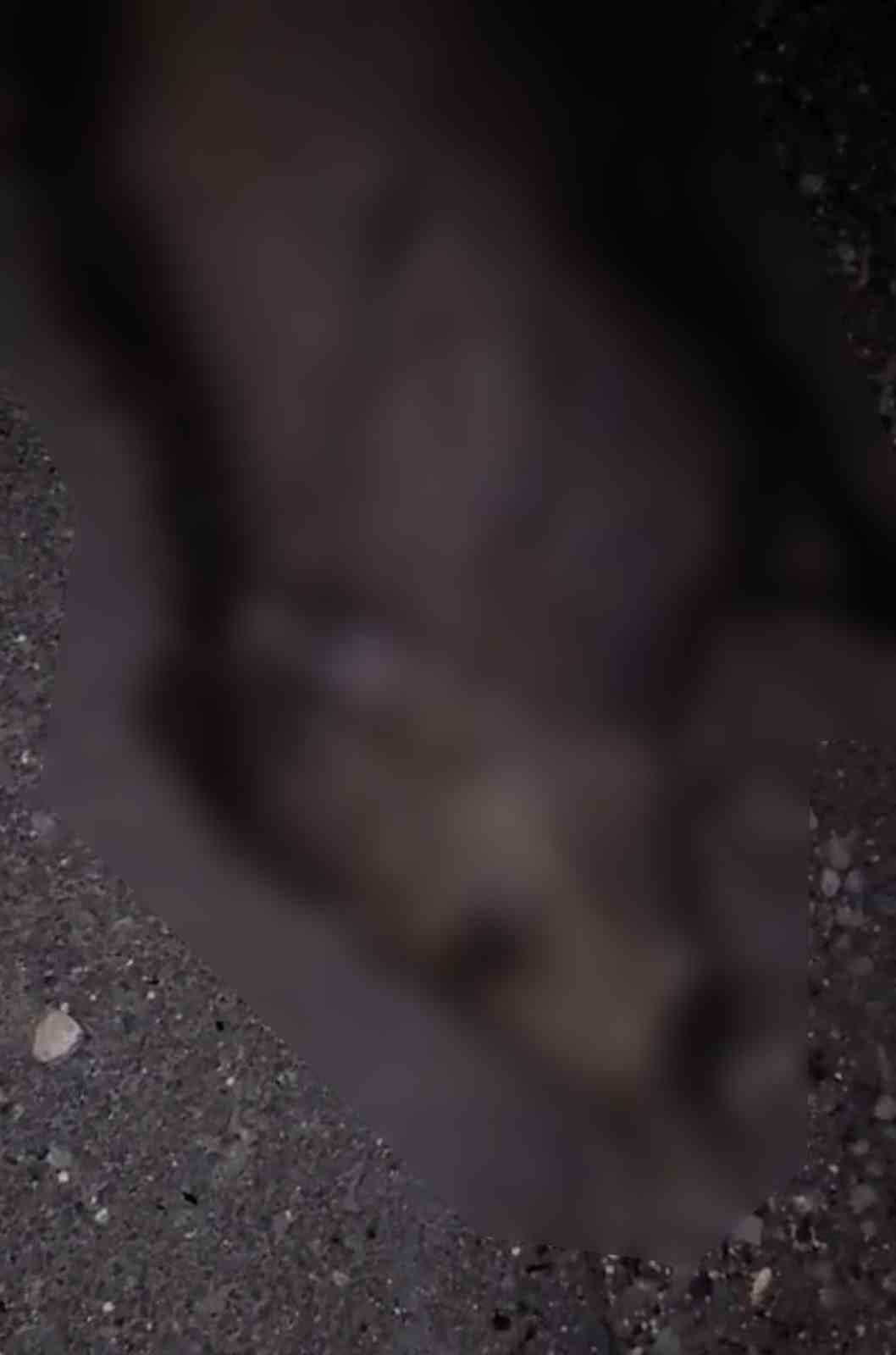 ELAZIĞ-BİNGÖL KARAYOLUNDA GECE GEÇ SAATLERDE ANİDEN YOLA ÇIKAN DOMUZ SÜRÜSÜNE BİR OTOMOBİLİN...