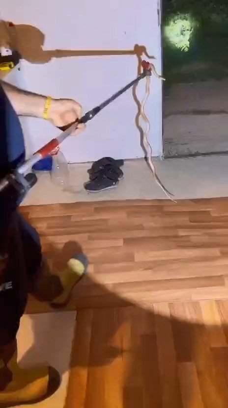 ELAZIĞ’DA BİR EVİN MUTFAK KISMINDAKİ BUZDOLABINA GİREN YILAN, İTFAİYE EKİPLERİ TARAFINDAN...