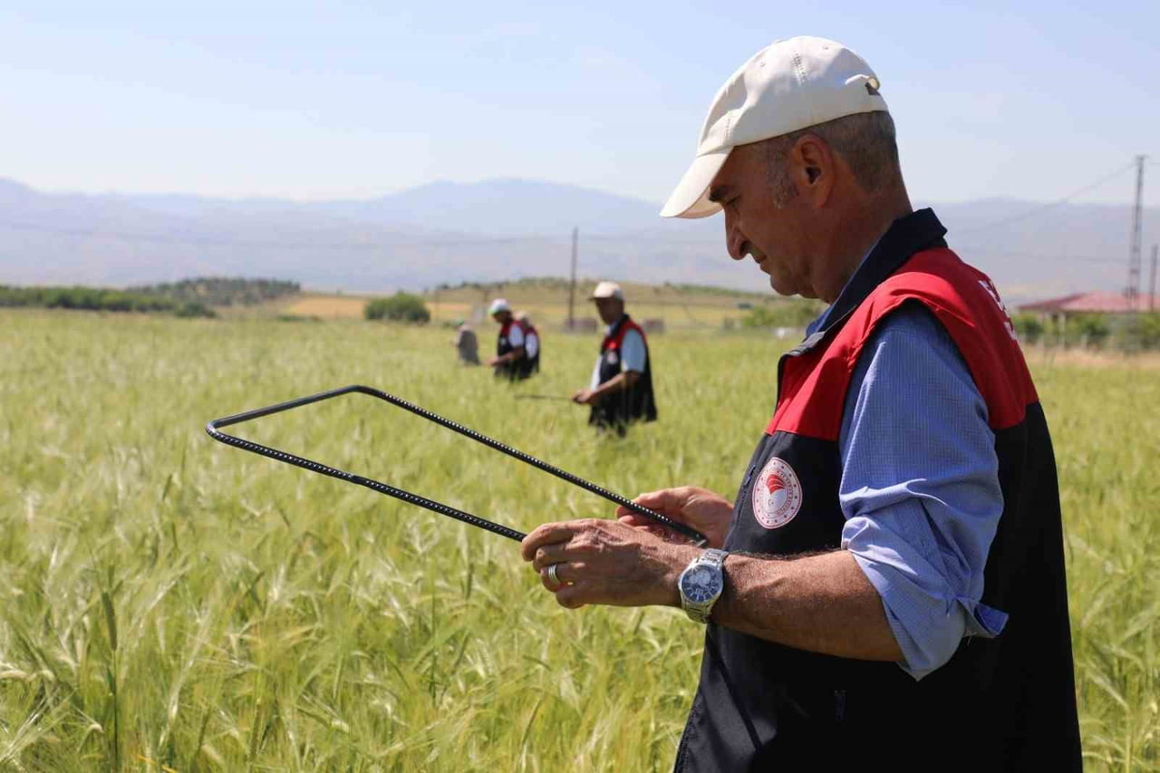 ELAZIĞ’DA SÜNE NİMF SÜRVEYİ VE CBS REFERANS PARSEL TESPİT ÇALIŞMALARI YAPILDI
