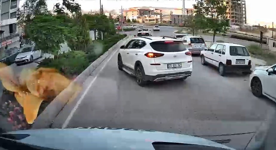 ELAZIĞ’DA TRAFİKTE YAŞANAN TARTIŞMADA BİR KADIN SÜRÜCÜNÜN, DİĞER ARACIN ÖNÜNÜ KESİP EL KOL...