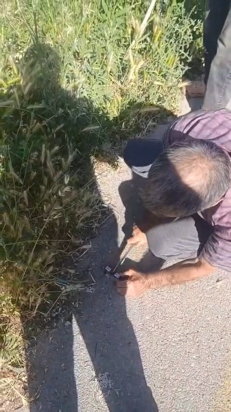 ELAZIĞ’DA TRENİN ÇARPTIĞI İNEK, TELEF OLMASIN DİYE VATANDAŞLAR SANİYELERLE YARIŞTI. YARALI İNEK...