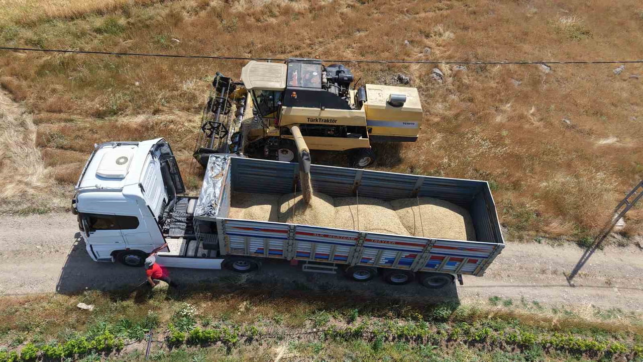 ELAZIĞ’IN GÜNEY TARIM ARAZİLERİNDE YILIN İLK ARPA HASADI BAŞLADI. YAĞAN YAĞIŞLARDAN DOLAYI YÜKSEK...