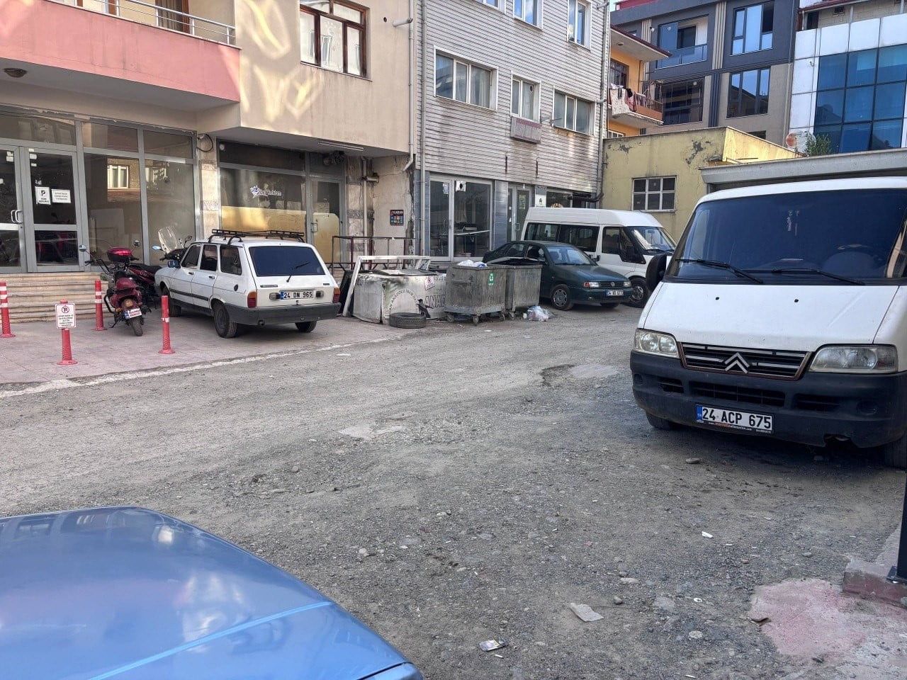 ERZİNCAN'DA KARGA AİLESİ YAVRUSU İÇİN KEDİLERE VE İNSANLARA MEYDAN OKUDU