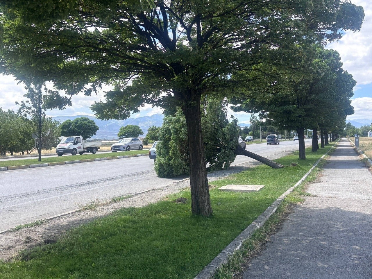 ERZİNCAN'DA ŞİDDETLİ RÜZGARDAN AĞAÇLAR DEVRİLDİ ÇATILAR UÇTU