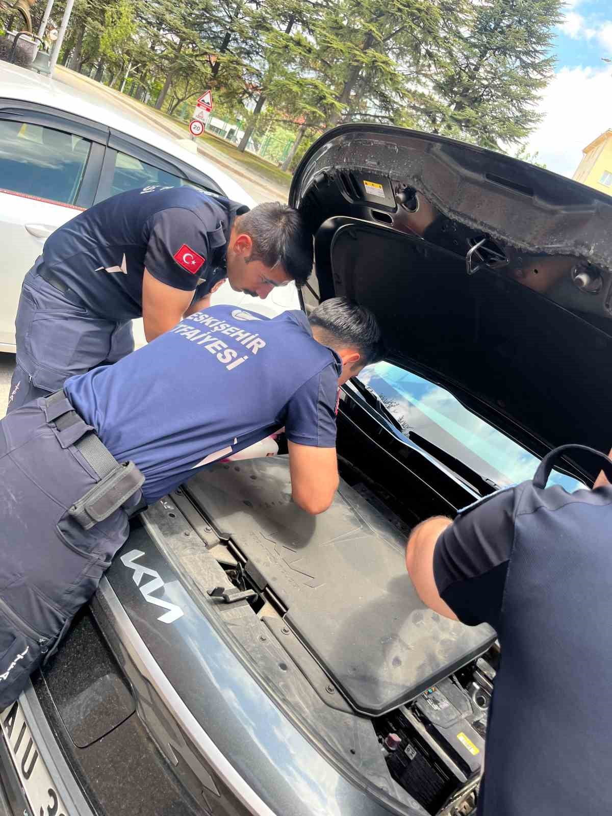 ESKİŞEHİR'DE BİR OTOMOBİLİN MOTOR BÖLÜMÜNDE SIKIŞAN KEDİ, ARAÇ SÜRÜCÜSÜNÜN DİKKATİ VE İTFAİYE...