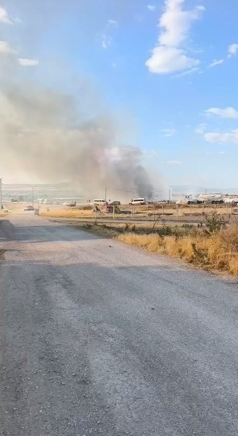 ESKİŞEHİR'İN ODUNPAZARI İLÇESİNDE TARIM İŞÇİLERİNİN YAKTIĞI OTLAR, DUMANLARIN GÖKYÜZÜNÜ...