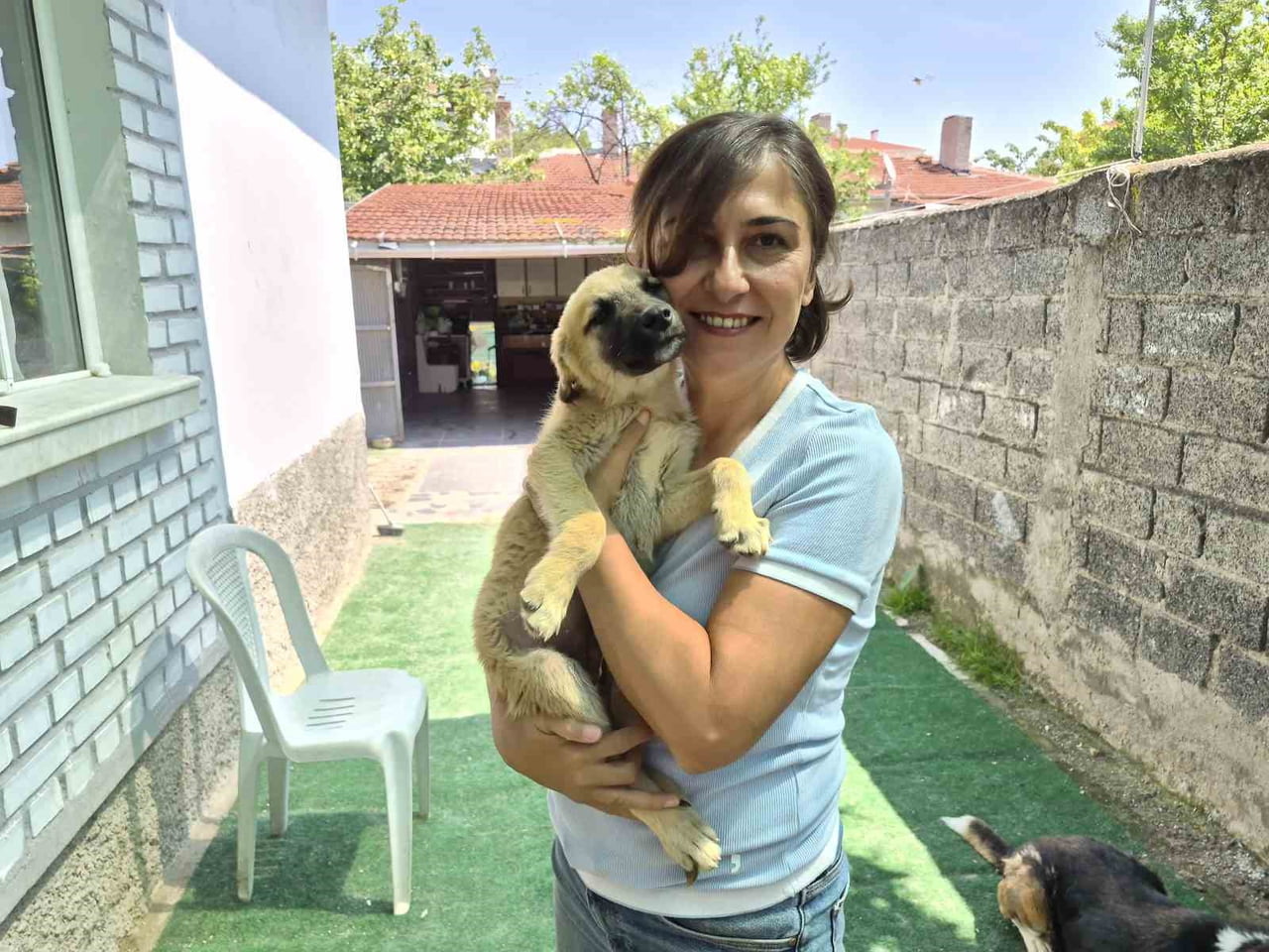 ESKİŞEHİR’DE 2 GÖNÜLLÜ VATANDAŞ, KIRSALDA AÇ VE SUSUZ KALAN HAYVANLARI BESLEYİP, YARALI OLANLARI...