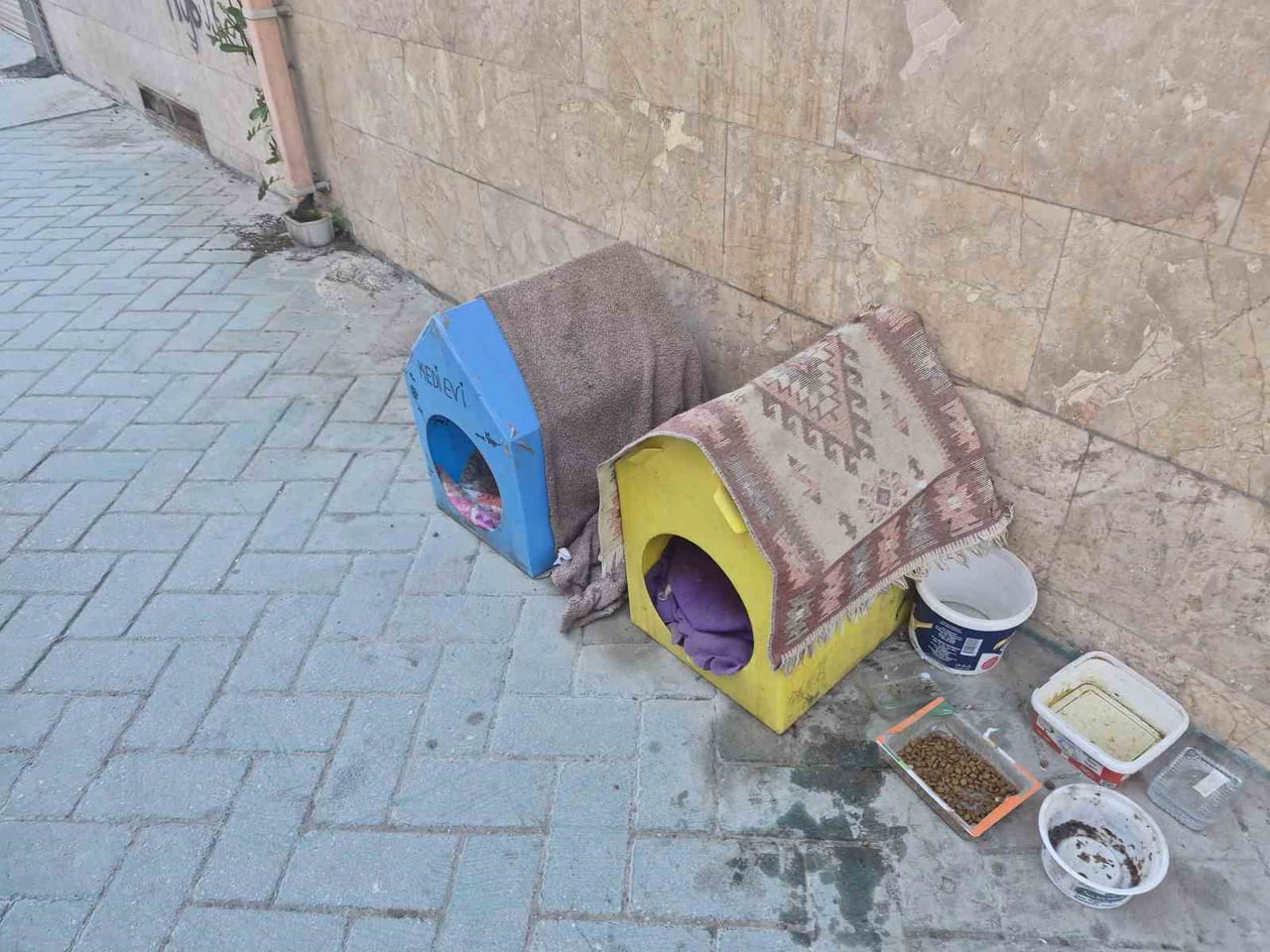 ESKİŞEHİR’DE BİR VATANDAŞ, SOKAK KEDİLERİNİ KORUMAK AMACIYLA KARTONDAN YAPTIĞI EVLERİN ÜZERİNE...