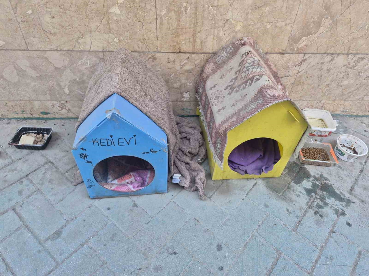 ESKİŞEHİR’DE BİR VATANDAŞ, SOKAK KEDİLERİNİ KORUMAK AMACIYLA KARTONDAN YAPTIĞI EVLERİN ÜZERİNE...