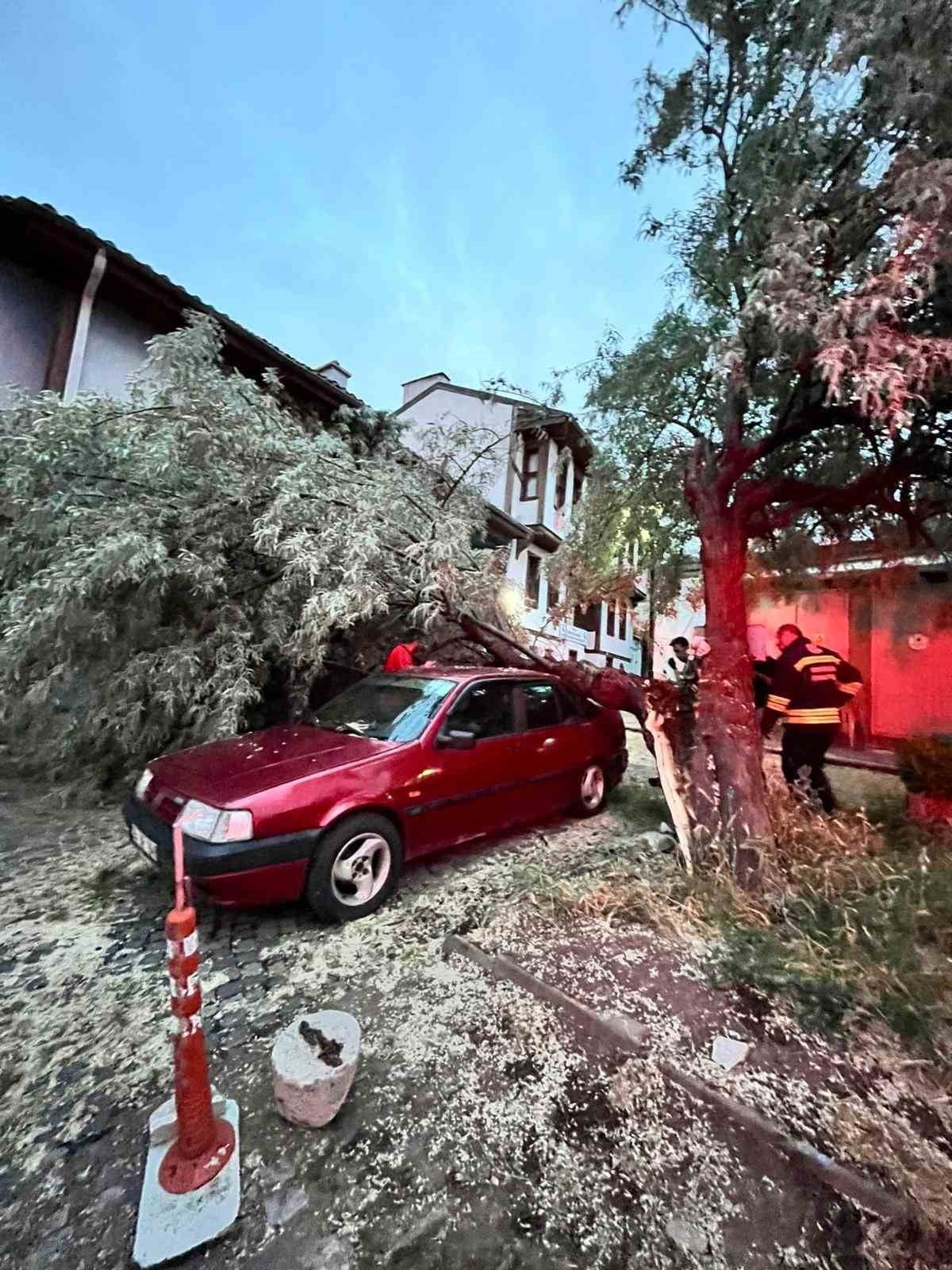 ESKİŞEHİR’DE YAŞLI AĞAÇTAN KOPUP PARK HALİNDEKİ OTOMOBİLİN ÜSTÜNE DÜŞEN KALIN DAL PARÇASI...