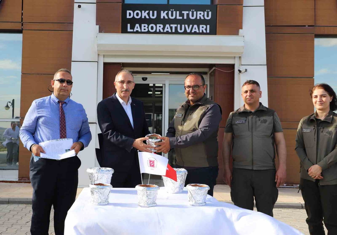 FIRAT ÜNİVERSİTESİ (FÜ) TARAFINDAN ÜRETİLEN ENDEMİK BİTKİLER DOĞAYA KAZANDIRILMAK ÜZERE DOĞA...
