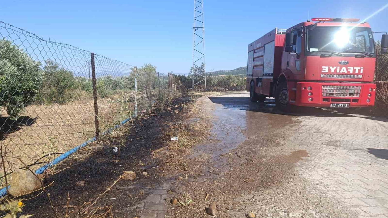 GAZİANTEP'İN İSLAHİYE İLÇESİNDE ZEYTİN TARLALARININ ÇEVRESİNDEKİ OTLUK ALANDA YANGIN...