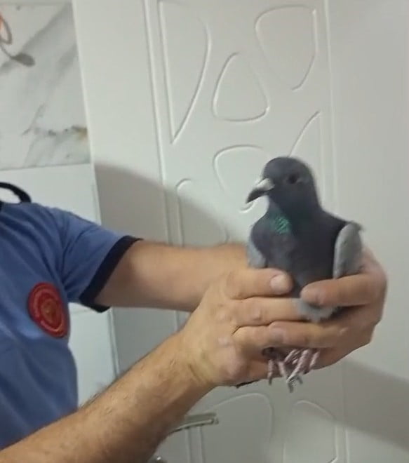 GAZİANTEP’İN İSLAHİYE İLÇESİNDE BİR APARTMANIN HAVALANDIRMA BOŞLUĞUNDA 3 GÜNDÜR MAHSUR KALAN...