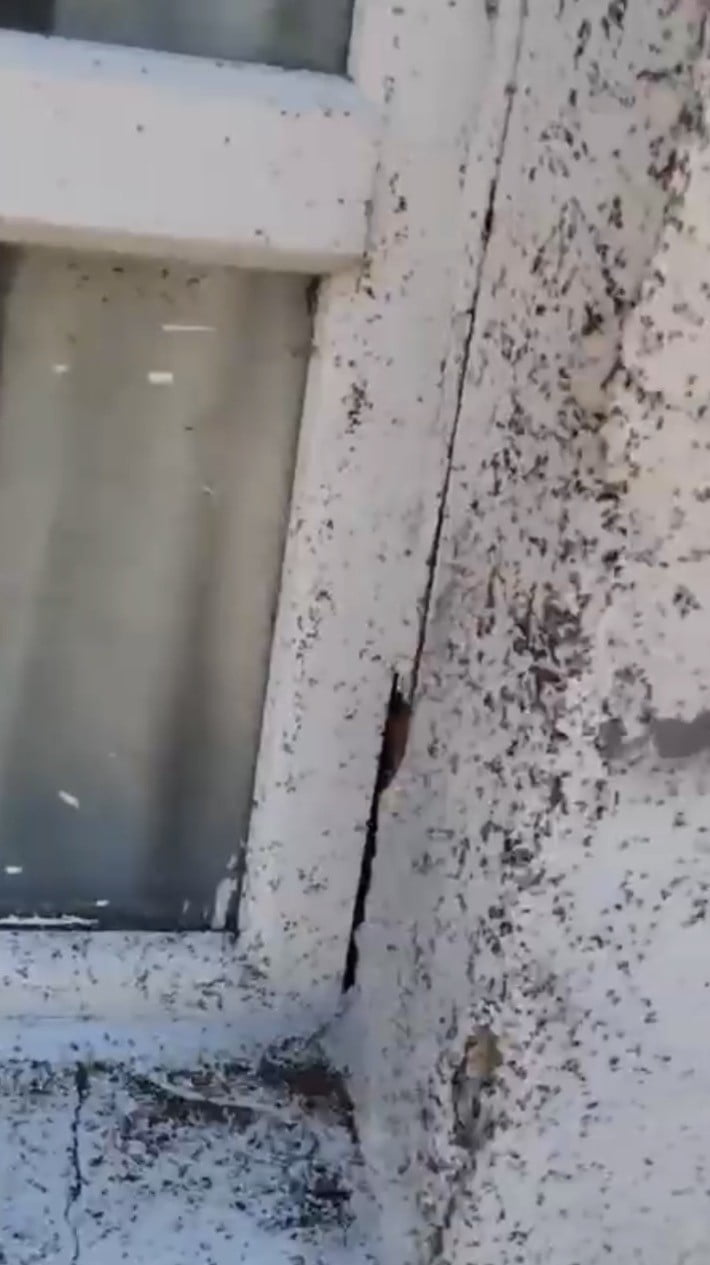 GAZİANTEP’İN OĞUZELİ İLÇESİ KIRSAL BÖLGELERİNDE SİNEK İSTİLASI CEP TELEFONU KAMERASINA YANSIDI....