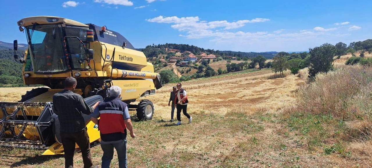 GEDİZ’DE HASAT SEZONU BAŞLADI