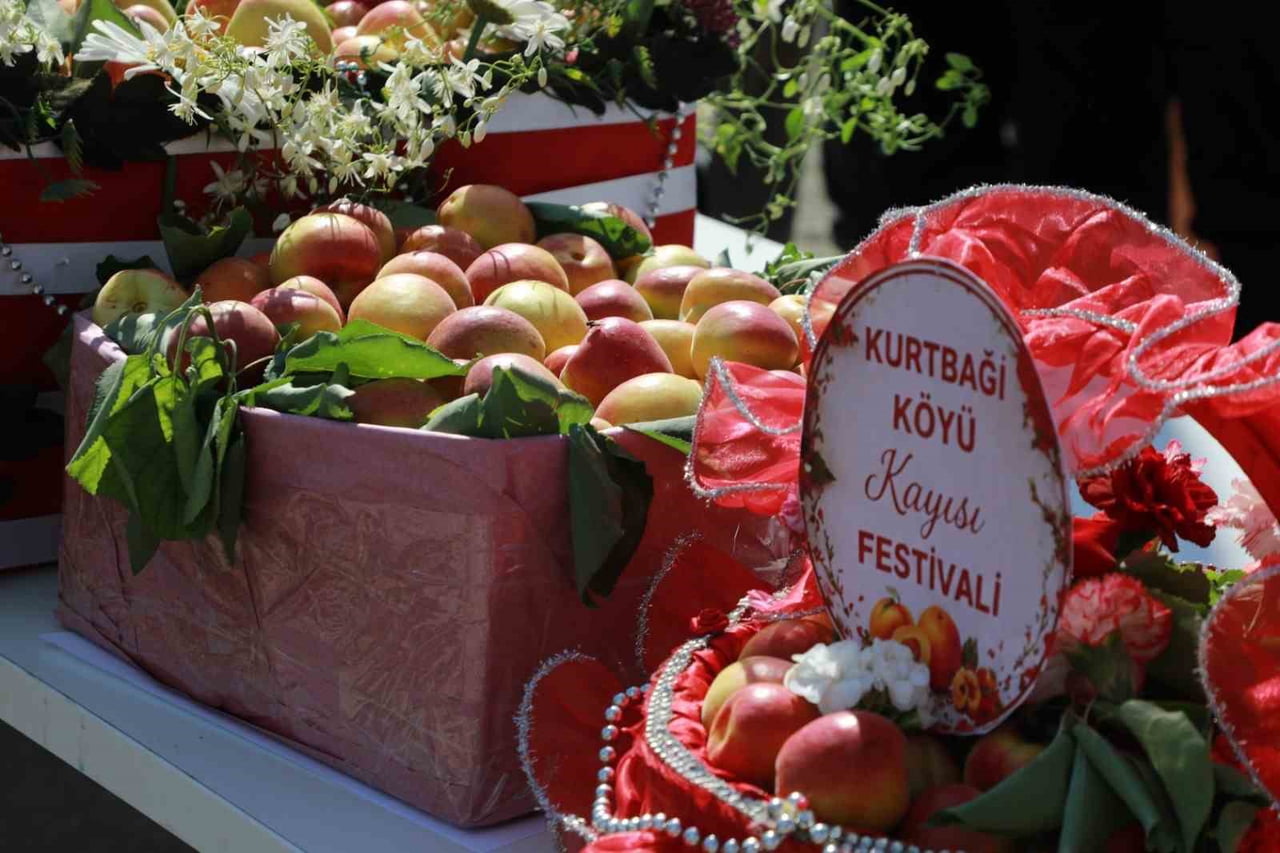 GELENEKSEL KURTBAĞI KAYISI FESTİVALİ’NDE VATANDAŞLAR KAYISI YARIŞMALARI, MEHTERAN GÖSTERİSİ...