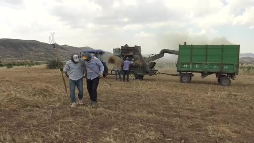Gercüş’te kavurucu sıcakta 'Oyun Havalı' hasat