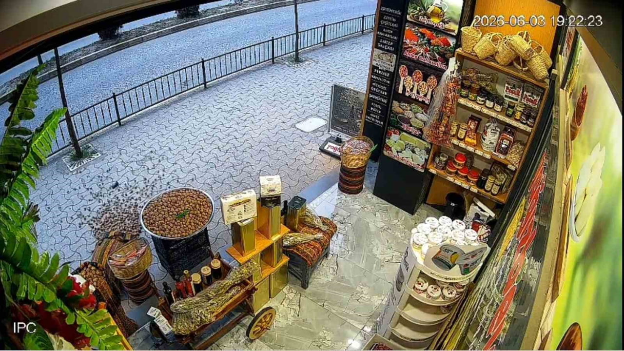 GİRESUN’DA BİR İŞYERİNİN ÖNÜNDE BULUNAN CEVİZ DOLU ÇUVAL, SOKAK KEDİSİNİN TIRNAKLARINI TÖRPÜLEDİĞİ...