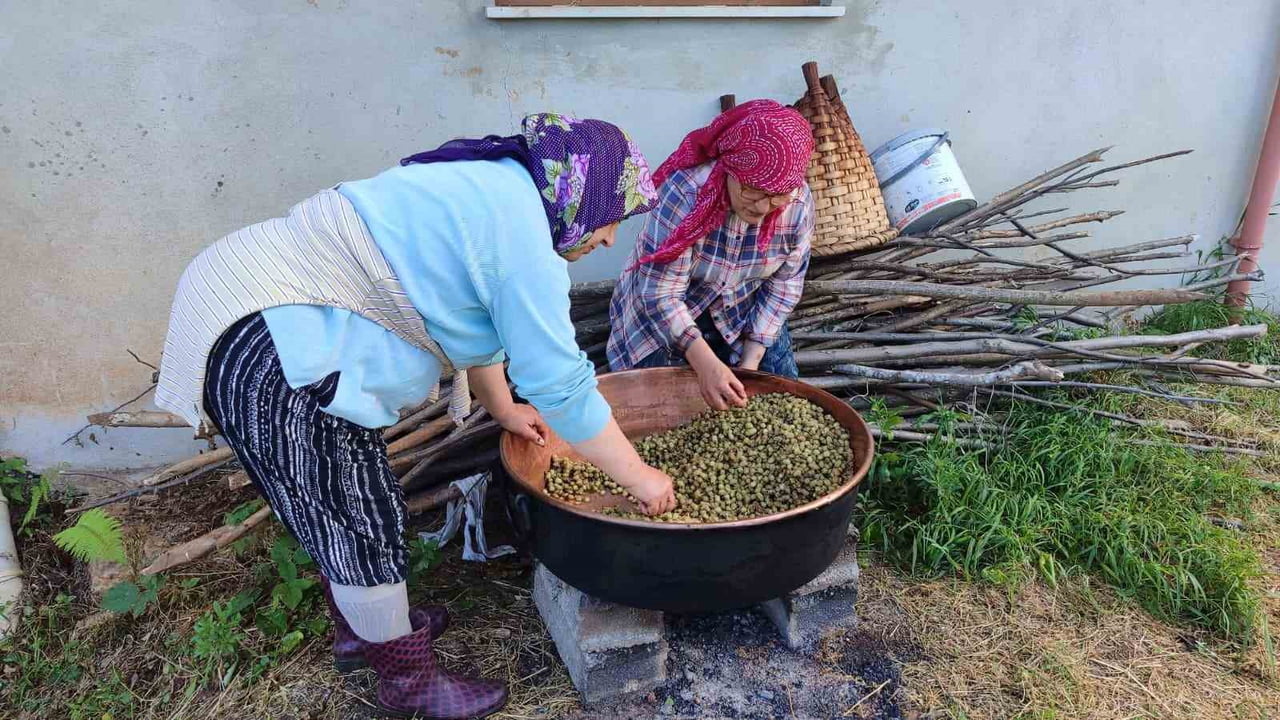 GİRESUN’DA YAZ MEVSİMİNİN GELMESİYLE BİRLİKTE, YÜZYILLARDIR SÜRDÜRÜLEN DUT PEKMEZİ GELENEĞİ...