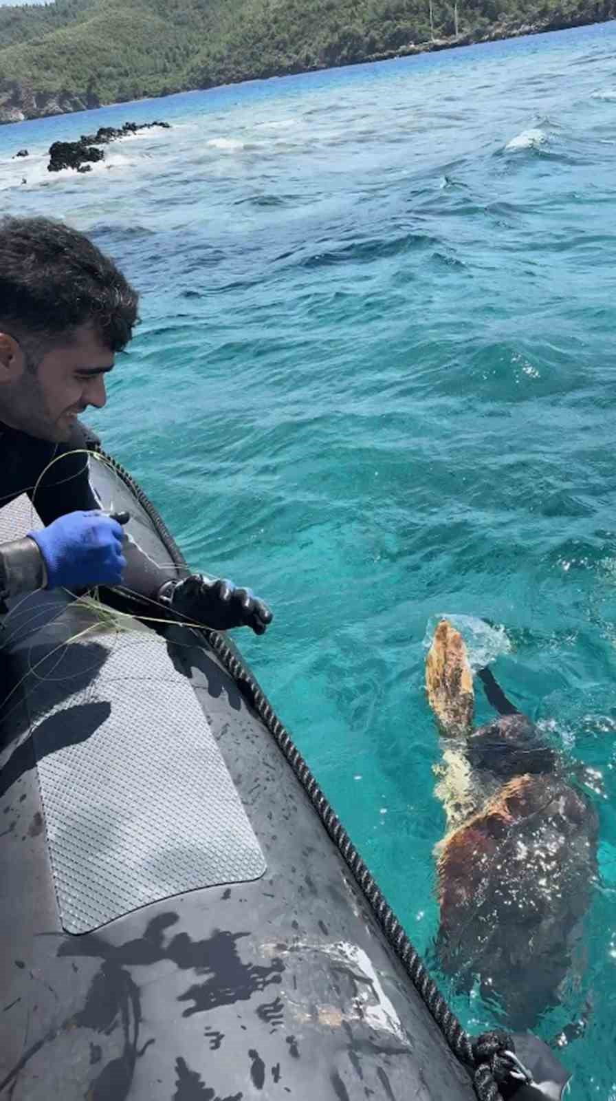 GÖKOVA KÖRFEZİ'NDE BALIKÇILIĞA KAPALI BÖLGEDE DENİZE ATILMIŞ PARAGAT AĞINA TAKILAN DENİZ...