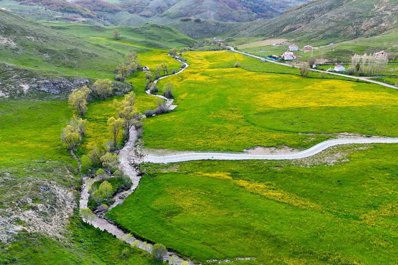 GÜMÜŞHANE’NİN MERKEZE BAĞLI SARIÇİÇEK VADİSİ, ADINI VEREN SARI ÇİÇEKLERİN AÇMASIYLA EŞSİZ BİR DOĞA...