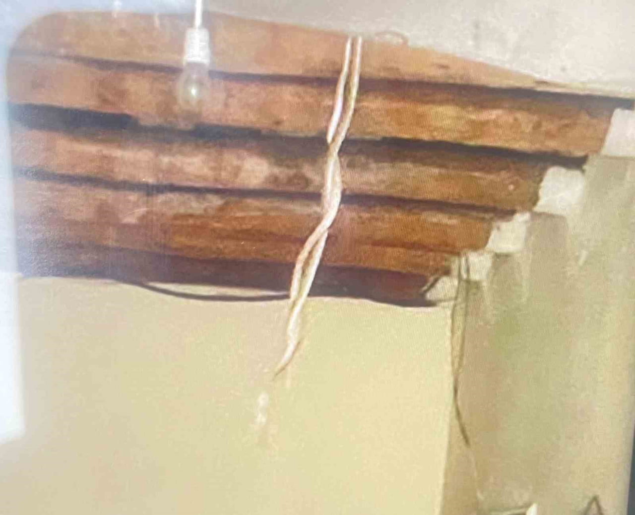HAKKÂRİ’NİN GAZİ MAHALLESİ’NDE TOPRAK BİR EVDE YILAN GÖRÜLDÜĞÜ İHBARI, MAHALLE SAKİNLERİNE KORKU...